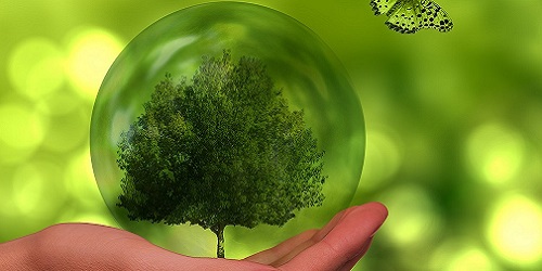 Nachhaltig und Grün aus D-A-CH und Südtirol