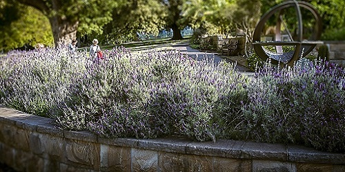 Coaching und Online-Coaching aus D-A-CH und Südtirol