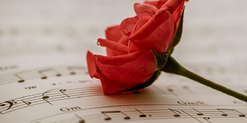 Musik, Filme und Bücher aus D-A-CH und Südtirol